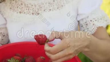快乐的女孩夏天在花园里吃<strong>草莓</strong>。 美味的<strong>草莓</strong>甜点。 漂亮女孩吃红<strong>草莓</strong>
